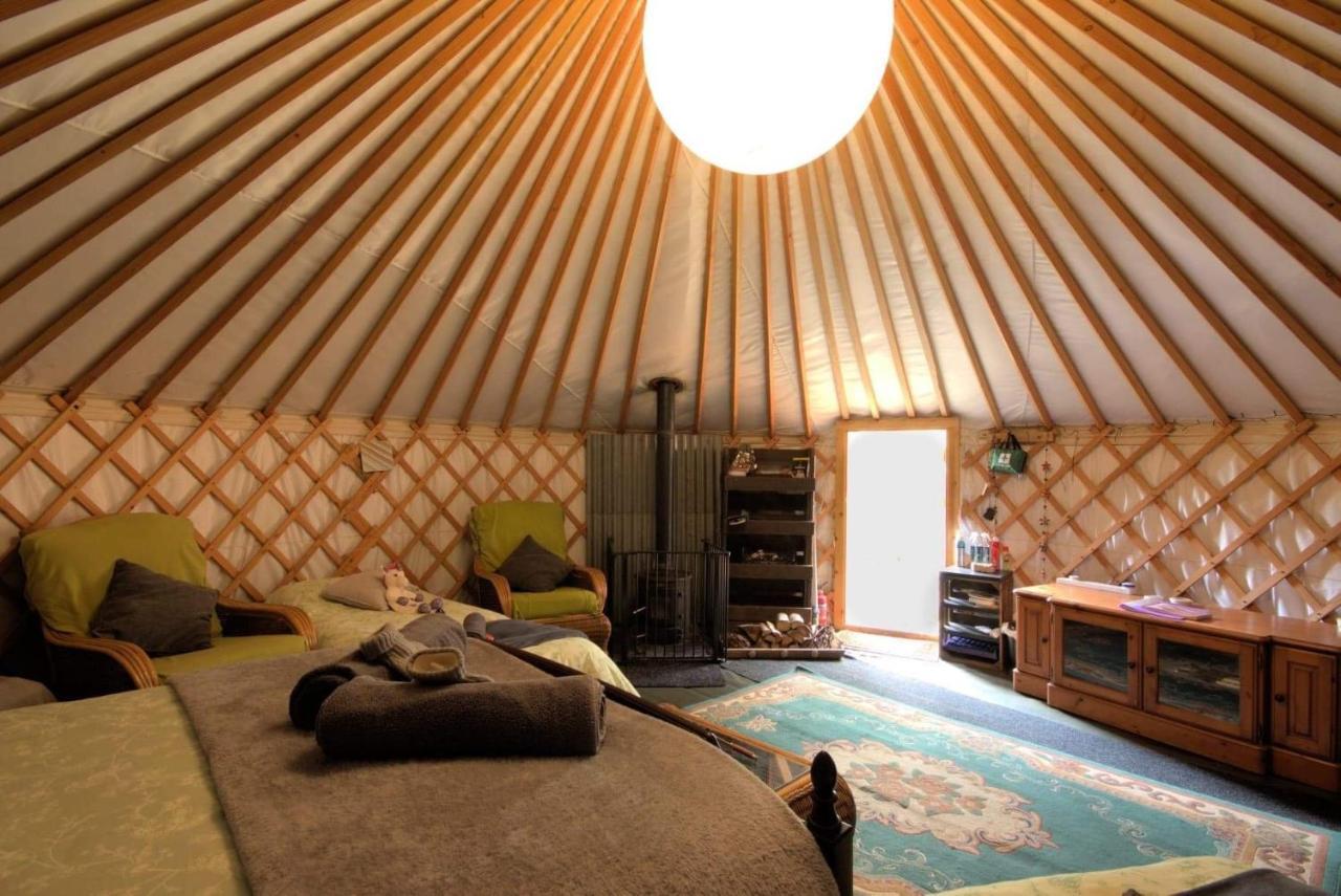 Magical Forest Yurt Sturry Exteriér fotografie