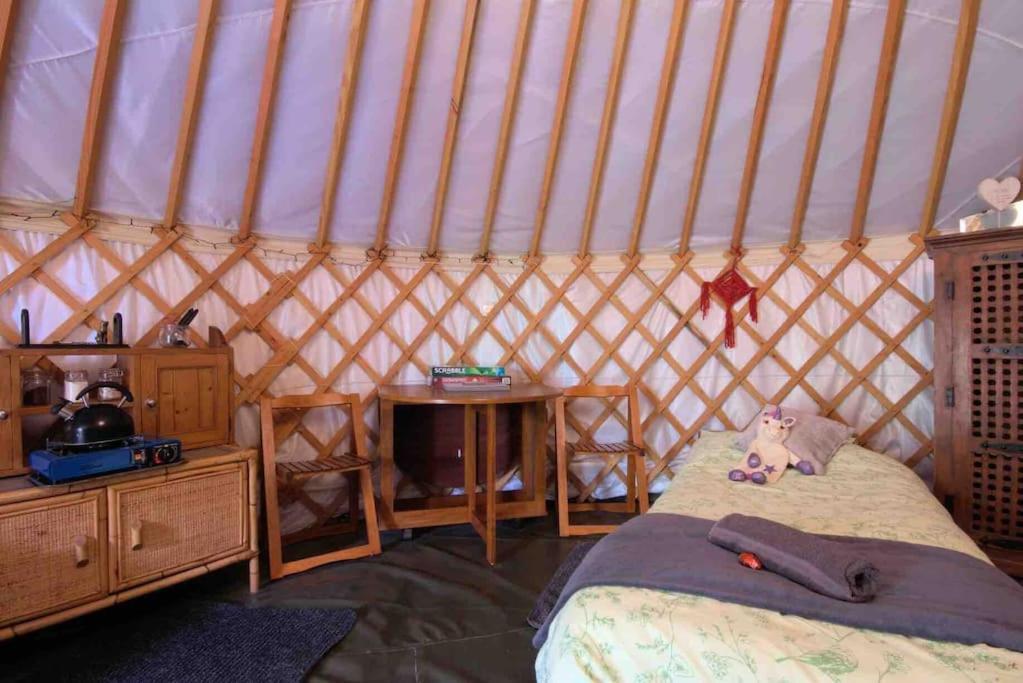 Magical Forest Yurt Sturry Exteriér fotografie