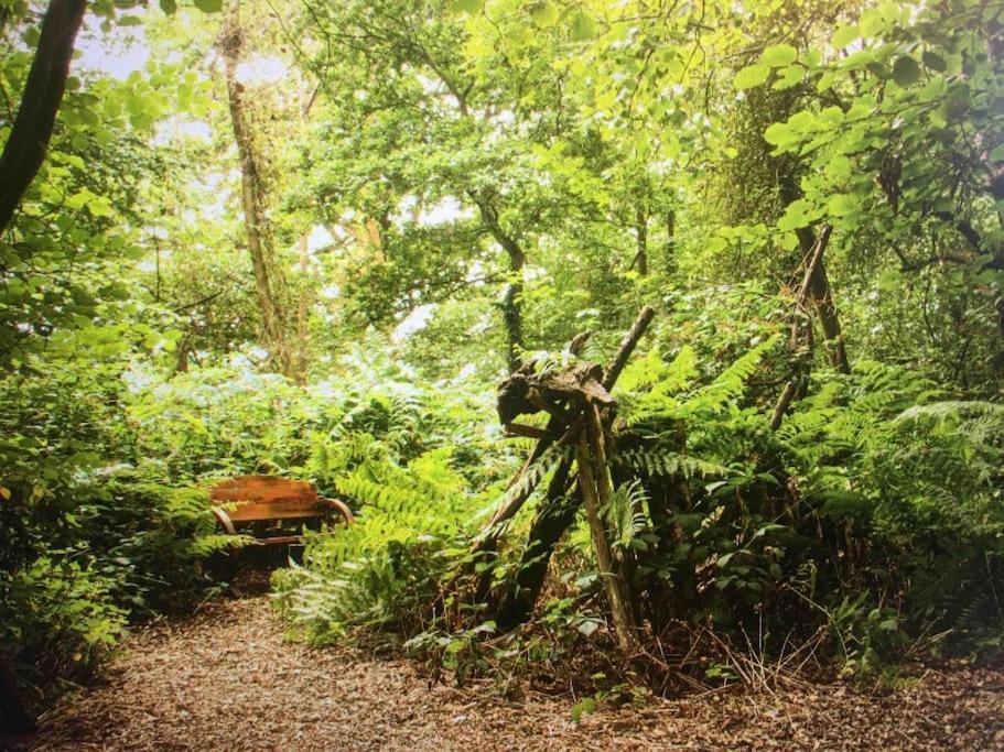 Magical Forest Yurt Sturry Exteriér fotografie