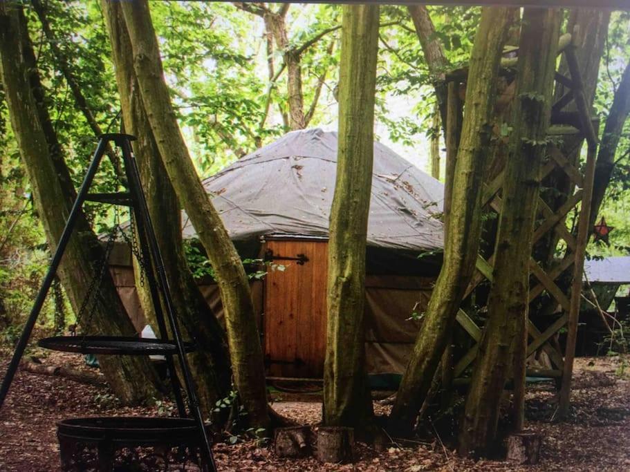 Magical Forest Yurt Sturry Exteriér fotografie