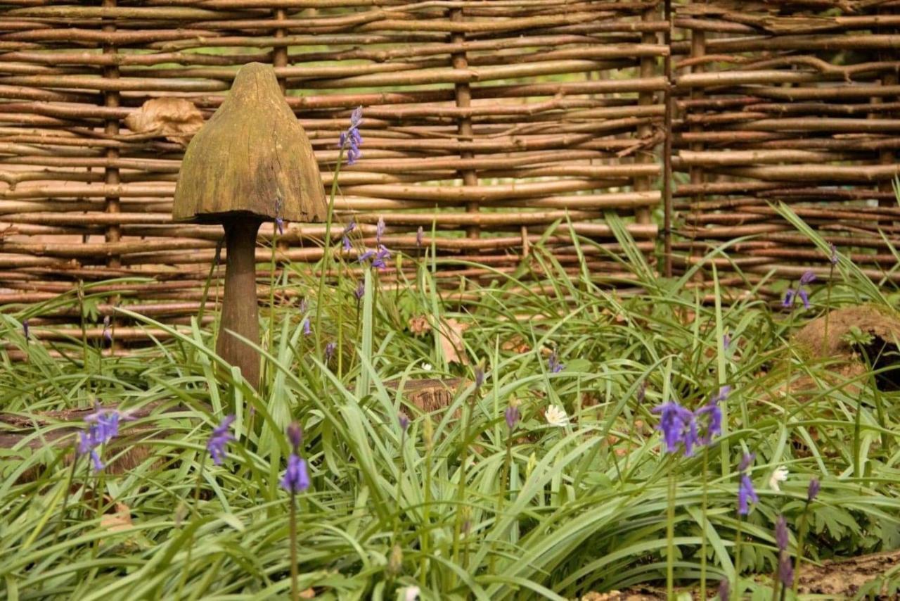 Magical Forest Yurt Sturry Exteriér fotografie