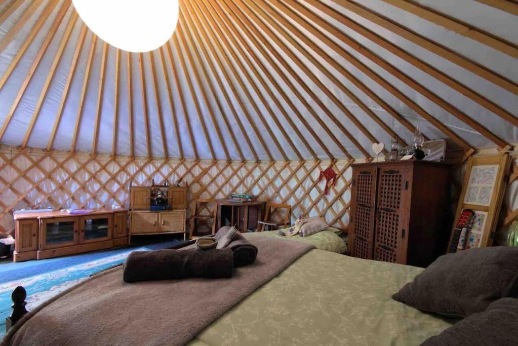 Magical Forest Yurt Sturry Exteriér fotografie
