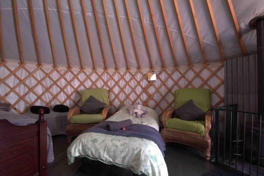 Magical Forest Yurt Sturry Exteriér fotografie