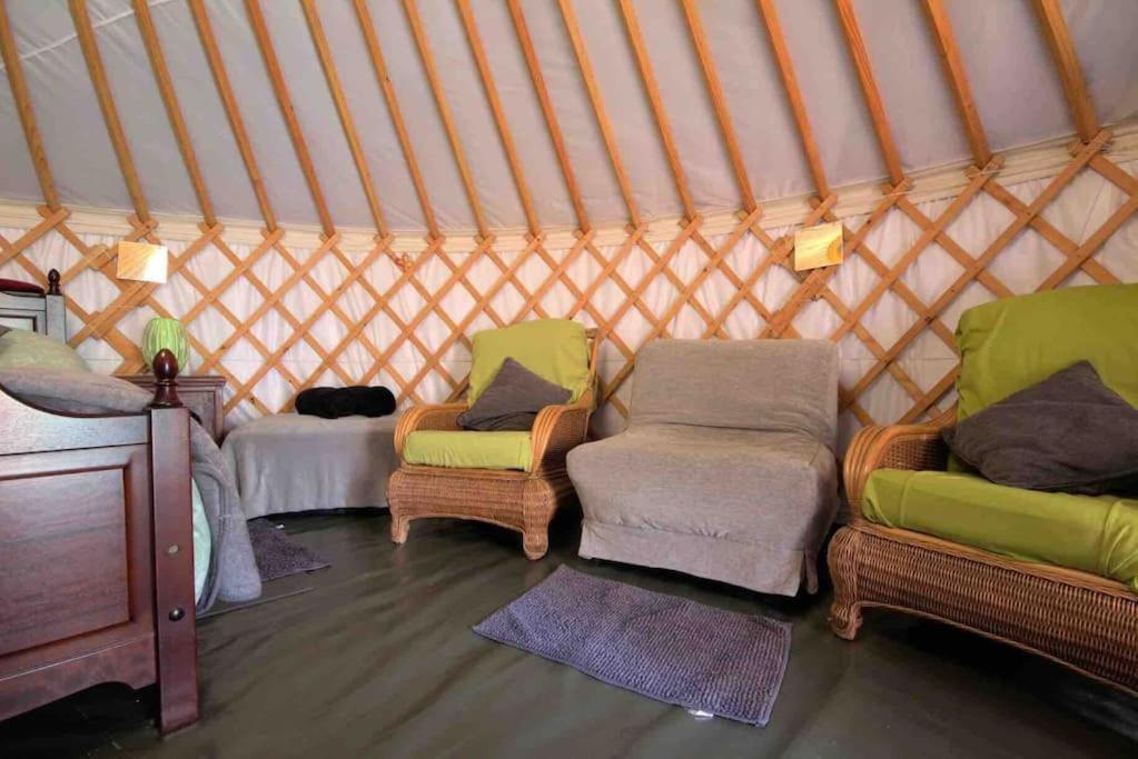 Magical Forest Yurt Sturry Exteriér fotografie