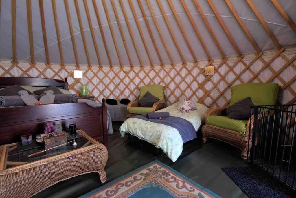 Magical Forest Yurt Sturry Exteriér fotografie