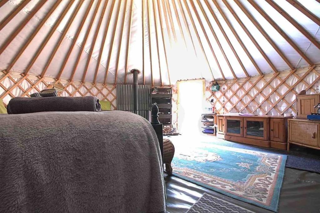 Magical Forest Yurt Sturry Exteriér fotografie